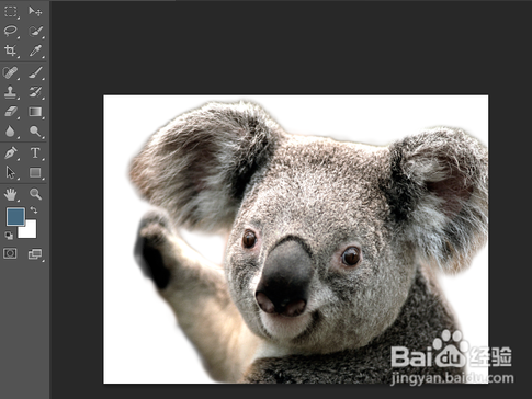 photoshop下载官方版 photoshop下载官方版