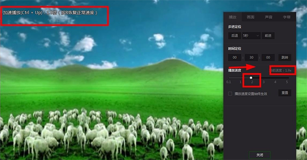 爱奇艺万能播放器软件免费下载 爱奇艺万能播放器截图