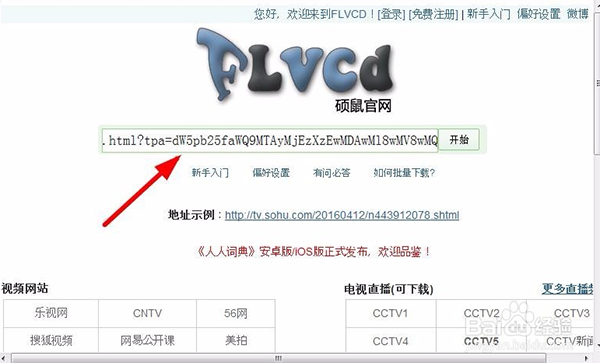 硕鼠FLV视频下载器在线使用 硕鼠FLV视频下载器截图