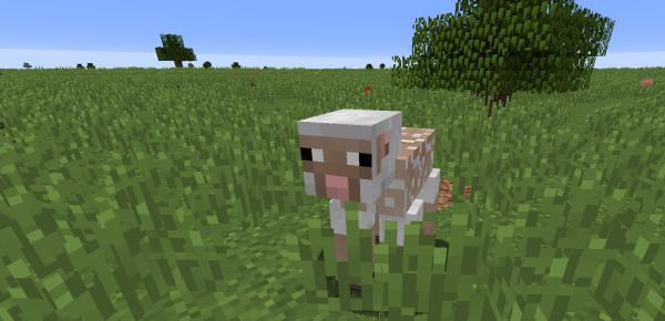 我的世界中文版pc版