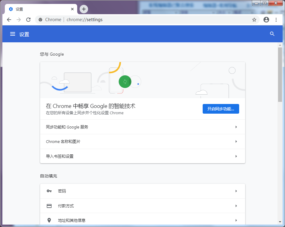 Google Chrome(谷歌浏览器)截图
