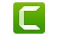TechSmith Camtasia Studio段首LOGO