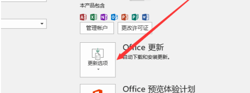 Office 365电脑版