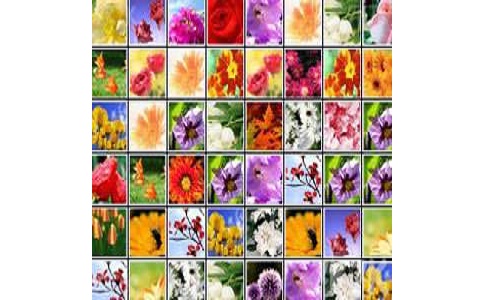 花花连连看段首LOGO