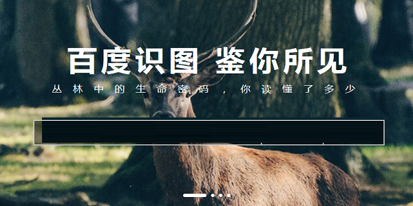 百度识图2023免费下载