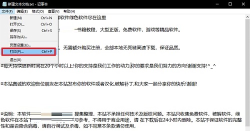 虚拟打印机PDF截图