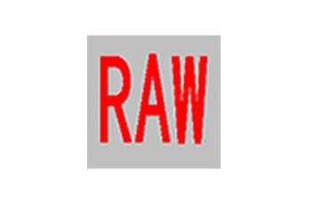 RAW Tools(raw修复工具)段首LOGO