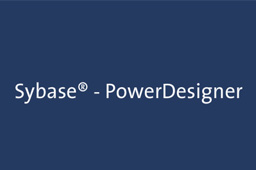 PowerDesigner段首LOGO