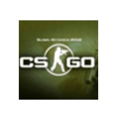 csgo中文版