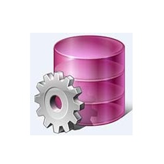 PLSQL Developer 64位