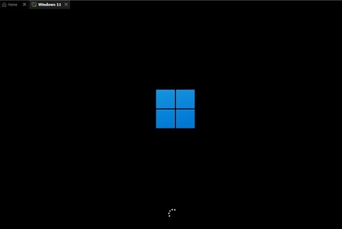 windows11 64位纯净版截图