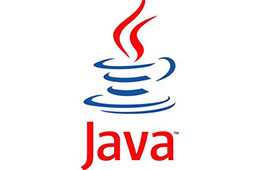 JAVA虚拟机段首LOGO