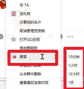 qq绿色版免安装版在线使用网页版