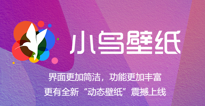 小鸟壁纸截图