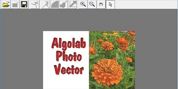 AlgoLab Photo Vector在线使用网页版