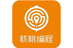 核桃编程段首LOGO