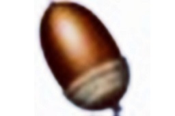 单文件软件封装工具段首LOGO