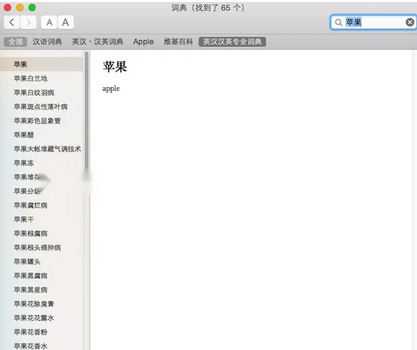 英汉汉英词典Mac截图