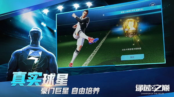 绿茵之巅电脑版截图