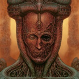 蔑视修改器修改器Gamebuff