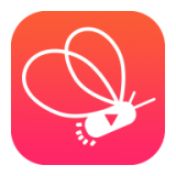 火萤直播电脑版