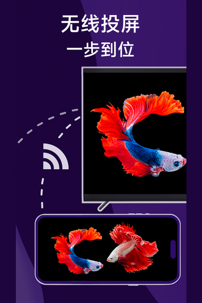 雨燕投屏苹果手机版截图