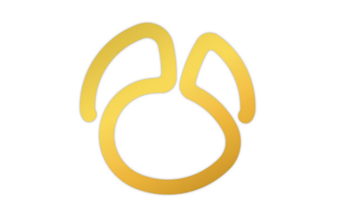 Navicat Premium段首LOGO