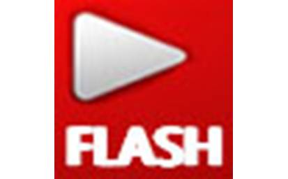 Flash播放器段首LOGO