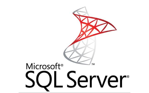 sqlserver2000段首LOGO