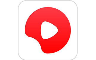 西瓜播放器段首LOGO