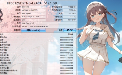 CrystalDiskInfo(硬盘检测工具)段首LOGO