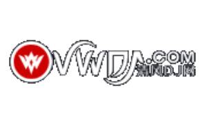 清风dj音乐网段首LOGO