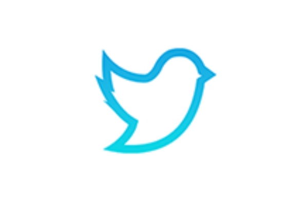 飞鸟下载器段首LOGO