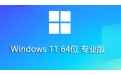 Win11 23H2 64位专业精简版段首LOGO