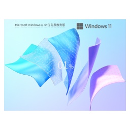 Windows11 22H2 64位 专业教育版