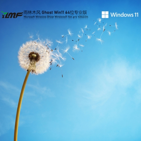 雨林木风Ghost Win11正式装机版