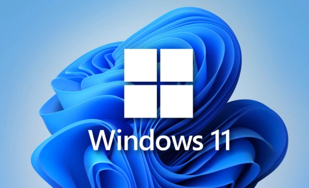 Windows 11 64 位家庭版