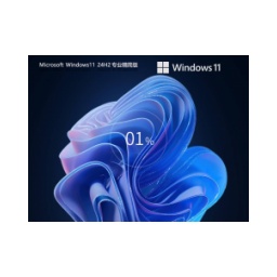 少量精简 Windows11 24H2 64位 专业精简版镜像