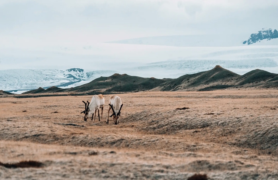 Windows 10 企业版镜像版截图