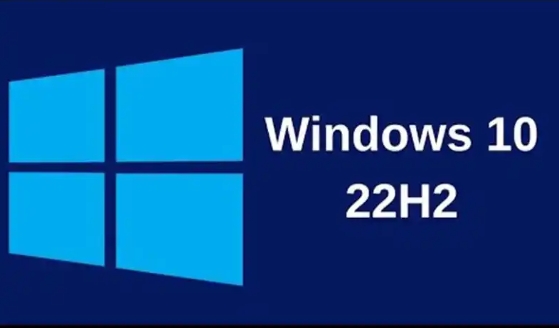 Windows 10 64位 22H2 专业版（驱动总裁版）截图