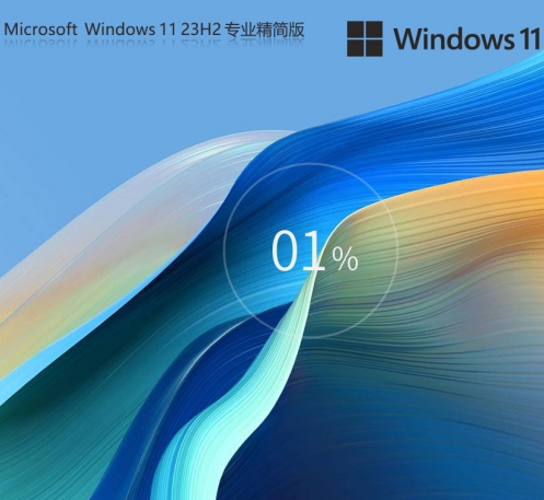 Win11 23H2 64位 专业精简版 免TPM版