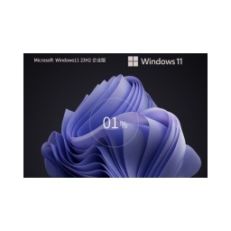 【最安全的 Windows】Windows11 23H2 64位