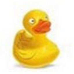 CyberDuck
