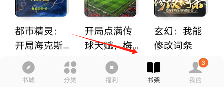 番茄免费小说截图