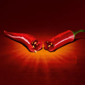 川菜菜谱做法大全离线版HD