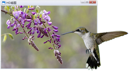 HD图片查看器截图