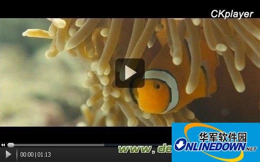 ckplayer6.1网页视频播放器详细介绍