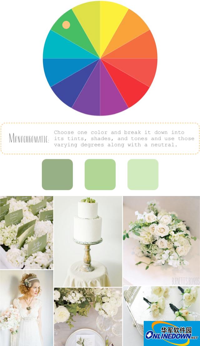 How to Create Color Palettes / monochromatic 