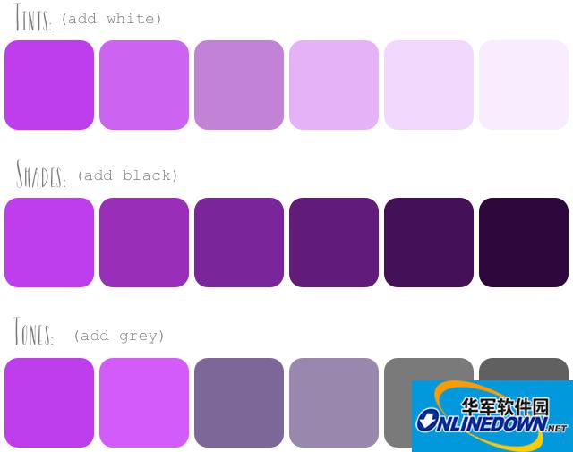 How to Create Color Palettes / tints, shades, and tones