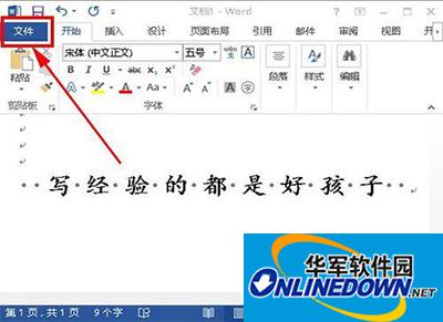 office2013 office2013